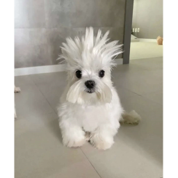 ^-^