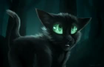 CAT_KITTY_LOL