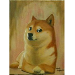 ims a doge