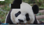 HEYAAAAAAAAAAAAAAAAAA