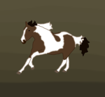 - sunshine stables -