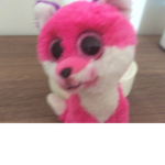 Fãs do piggy