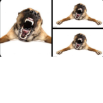 Pyroclast