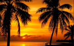 Floridas group
