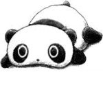 THE PANDAS CHEER TEAM!:)