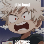 Ohio Hood