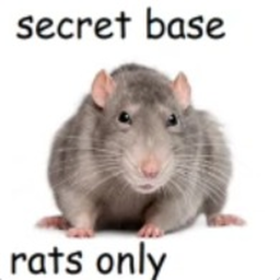 Супер секретная база Rat, mwskat и Goahan