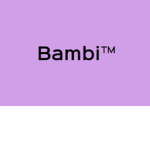 Bambi Clothing Group