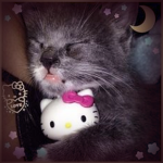 rocklet