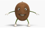 coconut groupe