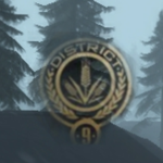 District Border international