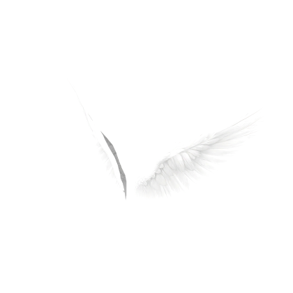 White Angel Wings