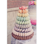 Pugs and macaroons