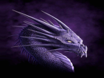Primal Warrior studios