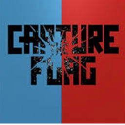 CAPTURE THE FLAG! NEW!