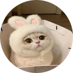 meow;33 help me😓😓