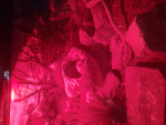 fire8rock's lair
