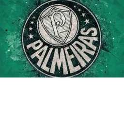 CENTRO DE TREINAMENTO DO PALMEIRAS icon
