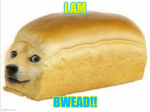DogeYBread