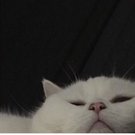 Happy Chat :)