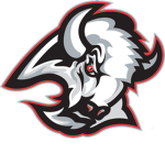 Grayville Bison