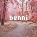 ,bunni