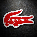 gol net