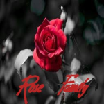 The Rоse Family