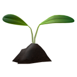 Sprout on the Dirt