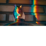 《Rainbow\Ratz》