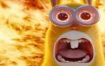 :-----