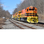RO Scale Buffalo Line