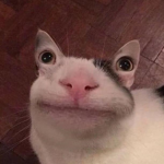 The Frowns Home