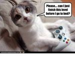 Kittie gamers