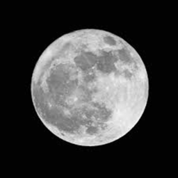 The MOON