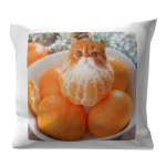 Orange Cat Pillow