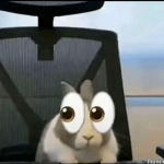 Bunny Publishes