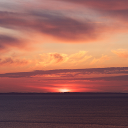 sunset