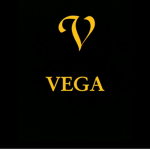베가 V.G THE BEST GROUP