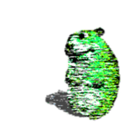 Matrix Chomik