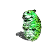 Matrix Chomik