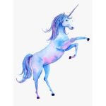 Unicorn's and friends