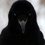 TheBlackMask