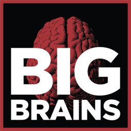 Big Brain HQ