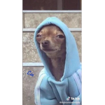 I am dying