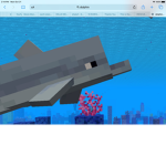 Dolphin time