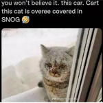 chilly’s home-store