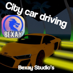 City Car Driving