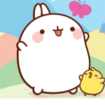 Quacko Squad