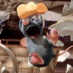 canned rats
